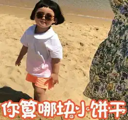 不想理你表情包你算哪块小饼干我生气起来,自己都不理自己

