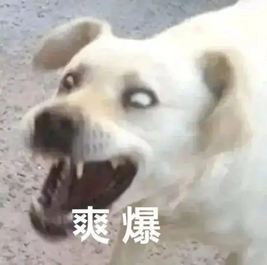 苹果明年要发布的五款iphone,就这
