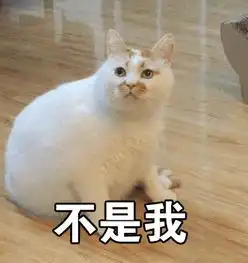 猫咪的尾巴有什么作用呢猫尾巴还能表达猫咪的心情
