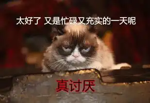 网红臭脸猫去世,从此天堂多了表情包