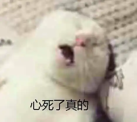 长沙社保新规有了解的吗
