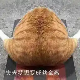 厉害了我的大魔都
