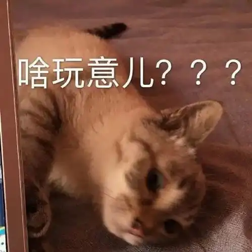 越被世界毒打,越容易玄学
