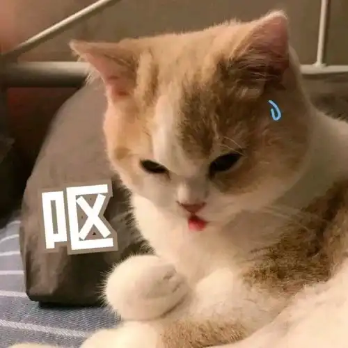最新热门可爱搞笑表情包图片新的一天,冲鸭,怪不好意思的
