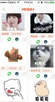 略略略表情包合集
