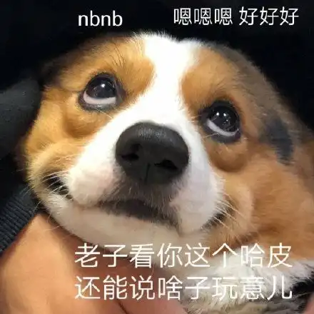 nba表情包nba微信表情包nbaqq表情包发表情fabiaoqing.com
