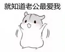 仓鼠媳妇表情包仓鼠老婆表情包下载合集乐游网游戏下载
