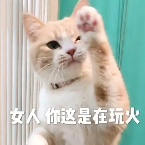 撩女朋友专用表情包来了,请注意查收,我们已经错过十余年

