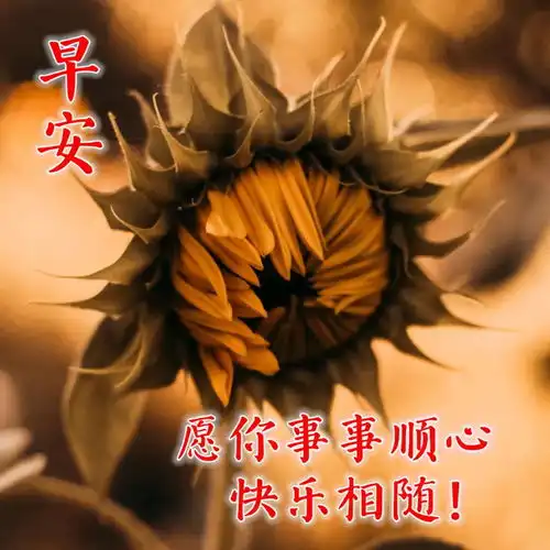 最漂亮早上好图片大全动态表情问候大家早上好的图片祝福语
