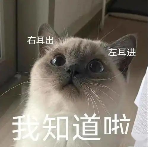 宝贝长,宝贝短,宝贝没钱又不管第255期喵表情
