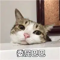 委屈巴巴表情包猫图片无水印版下载委屈巴巴猫表情包系列合集下载飞翔下载

