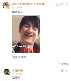 被网友发表情包群嘲林更新只回复了两个字
