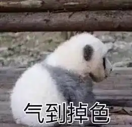 学会这仨词,我骂人再没输过
