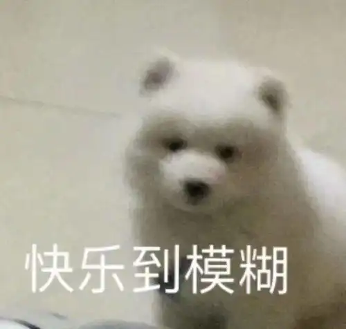 狗头人表情包动图安康