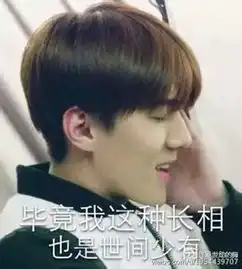 哪个属相男长的帅
