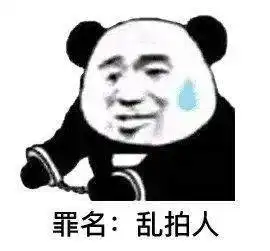 微信拍一拍表情包
