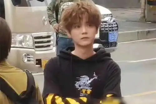 全新路透鹿晗一头棕色卷发表情呆萌,邓超又在替儿子追星
