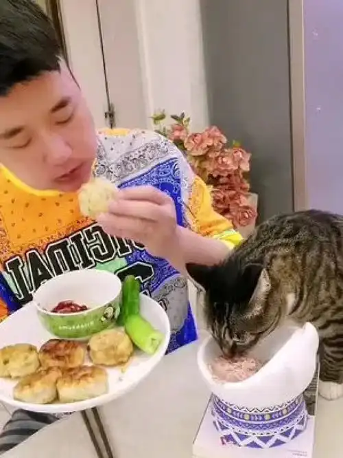 自己煎的素馅小饼,老好吃了吃货干饭人仔仔吃的罐头吃货猫
