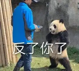 十条笑话欢迎新老师请勿践踏,谢谢
