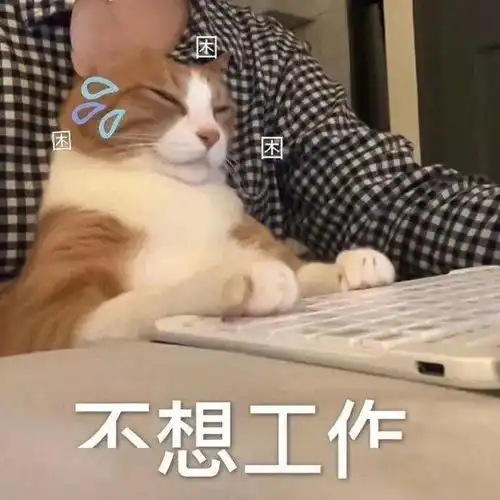斗图表情推荐给你三秒钟认错,想好再开口
