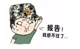 兵哥哥表情包

