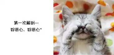 七医周刊第三十期
