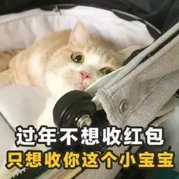 聊天怎能少了这些表情包呢
