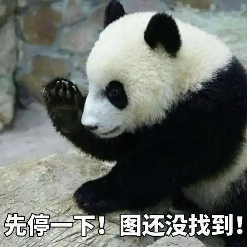嘿马上出发什么,什么鸿雁奥巴马爱听他的歌
