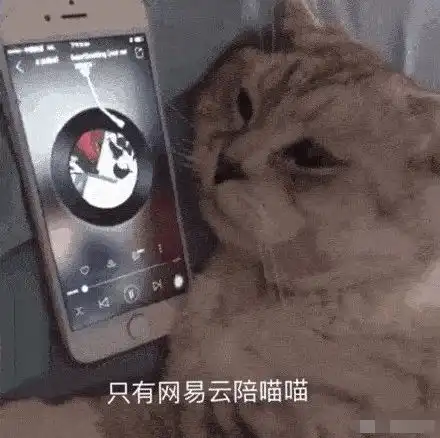 被吐槽的网易云音乐,这次终于出手了
