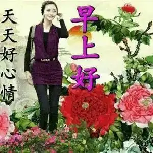 8张中老年带文字的早上好问候图片,早上好天天好心情动态表情早安祝福语
