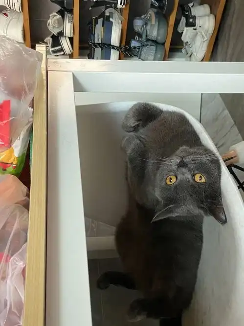 第1243期
