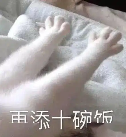 当南方人与北方人生活互换
