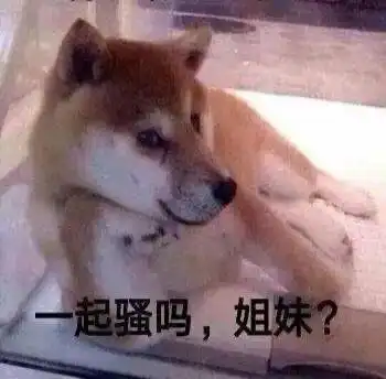 每晚分享沙雕表情包
