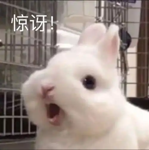 来一波搞笑表情包
