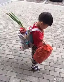 开学第一天被熊孩子上学表情包萌一脸,实力演绎全身心拒绝开学
