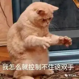 全民街拍十三教的那只橘猫
