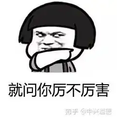 拉粑粑神器抗菌不锈钢马桶,你敢坐吗
