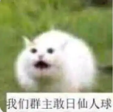 姐妹你也不赖嘛夸人表情包斗图表情
