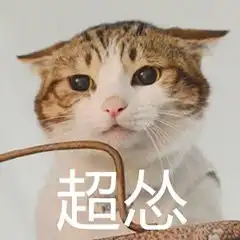 怂怂的表情包可爱
