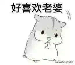 这只灰白仓鼠叫什么名字表情包好萌