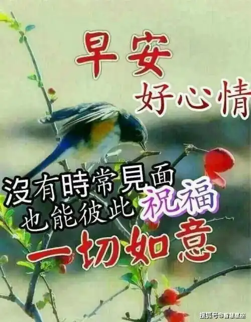 正月十九早上好微信问候语大全,朋友早安表情包大全
