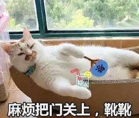 车主问丨六口之家,选什么车好
