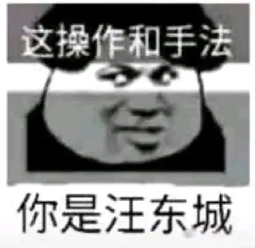 你打火影真像汪东城

