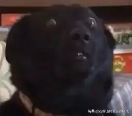 听说,有些app想打你的主意
