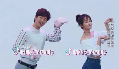凌潇肃无包袱学猫叫节目现场狂甩表情包
