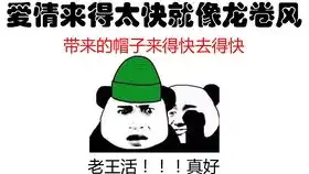 当表情包被翻译成日语时,日本小姐姐都被玩坏了
