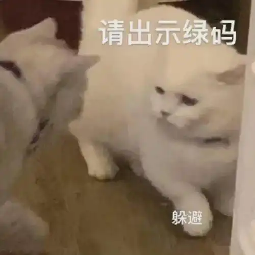丑东西,闭嘴丨第195期喵表情
