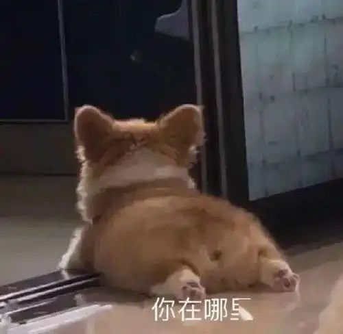 奇怪的表情增加了
