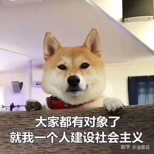 你用过的最沙雕的表情包是什么
