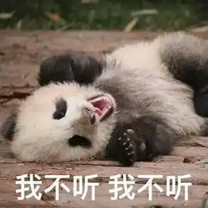 熊猫便便做成纸巾,你会用来干嘛
